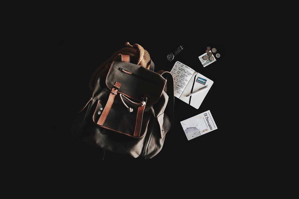 Education WordPress theme - Fields